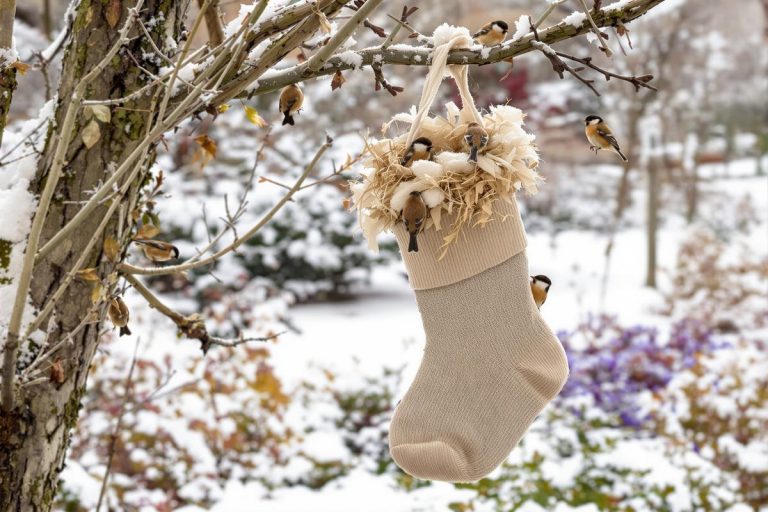 “Les oiseaux vont vous dire merci !” : ce DIY à faire en 10 secondes va leur être d’un précieux secours cet hiver.jpg