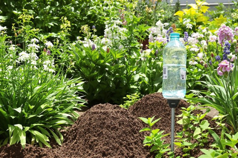 10 astuces pour faire fuir les taupes de votre jardin sans leur faire de mal.jpg