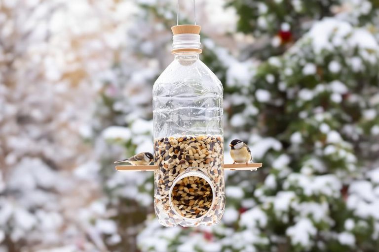 Ne jetez plus vos bouteilles en plastique: cette astuce nourrit les oiseaux tout l’hiver.jpg