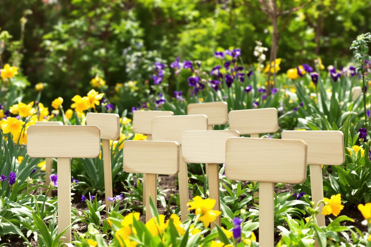 Pourquoi ces étiquettes en bois à moins d’1 € chez Action affolent les jardiniers soucieux d’écologie.jpg